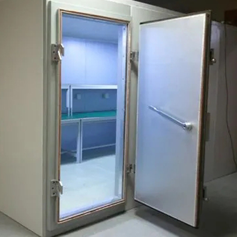 Single electromagnetic shielding door